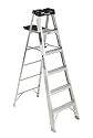 Werner 6-Foot 300 Pound Duty Rating Aluminum Stepladder Model #376