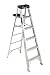 Tools & Hardware : Werner 6-Foot 300 Pound Duty Rating Aluminum Stepladder Model #376