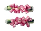 Varigated Flower Bunch Pair