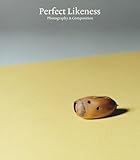 Perfect likeness : photography and composition
