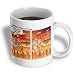 Starbucks in Hell - 15oz Mug