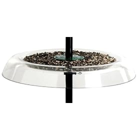 Droll Yankees GS 18.5-Inch Giant Seed Tray & Squirrel Guard with clamp