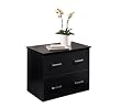 OfficeMax Black Finish 2-Drawer Lateral File Cabinet