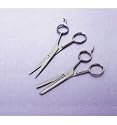 Hairdressing and Thinning Scissors (2)