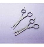 Kitchen & Housewares : Hairdressing and Thinning Scissors (2)