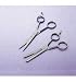 Hairdressing and Thinning Scissors (2)