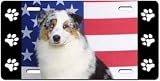 Australian Shepherd License Plate
