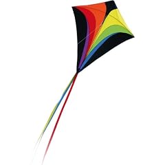 Drachen Eddy XL Rainbow 90 x 100cm Einleiner Kite
