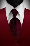 Apple Solid Satin Vest with Coordinating Tapestry Tie
