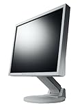 Eizo FlexScan S1932E 48,3 cm (19 Zoll) TFT-Monitor DVI mit Lautsprechern und Height Adjustable Stand grau (Kontrast 1000:1, 8ms Reaktionszeit)