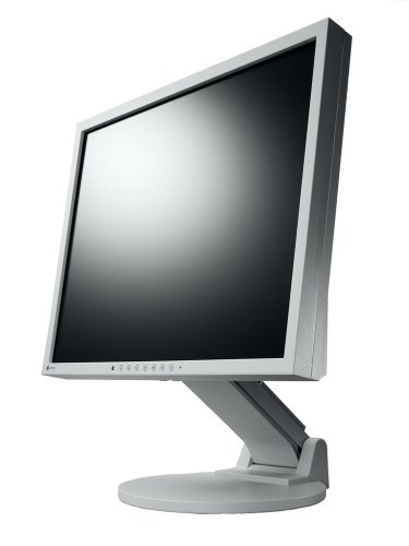 Eizo FlexScan S1932E 48,3 cm (19 Zoll) TFT-Monitor DVI mit Lautsprechern und Height Adjustable Stand grau (Kontrast 1000:1, 8ms Reaktionszeit)