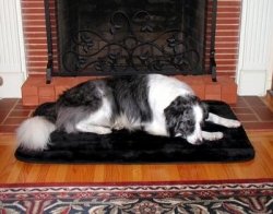 Precision Pet SnooZZy Sleeper Mat, Jumbo 6000, 49" x 30", Black