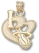 Miami Heat "I Heart Logo" 3/4" Charm/Pendant -14K/10K, Stainless Steel or Gold Plated