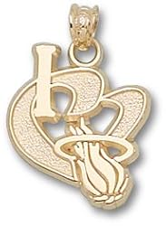 Miami Heat "I Heart Logo" 3/4" Charm/Pendant -14K/10K, Stainless Steel or Gold Plated