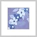 Asa, Modern Floral Framed Poster Print by Kate Knight, 19x19