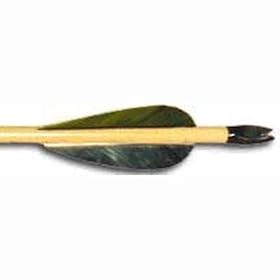 Buy Port Orford Cedar Arrows (Pack of 12) from Cajun Archery