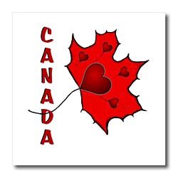 Canada - Maple Leaf - Hearts - 10x10 Iron On Heat Transfer For White Material