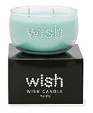 Primal Elements - Wish Wish Candle - B00110U760