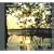 Regenwald Amazonas. Serie auf 4 Audio-CDs: Edition 1 Abenteuer Brasilien, Edition 2 Anavilhanas, Edition 3 Terra Firma, Edition 4 Geheimnisvolle ... N�chte: Stimmen aus der Dunkelheit: Ed. 4