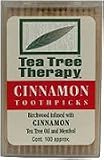 Birchwood Toothpicks with Cinnamon Oil 100 ct