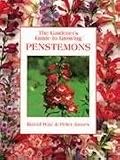 The Gardener's Guide to Growing Penstemons