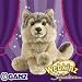 Webkinz Signature Deluxe Plush Figure Timber Wolf