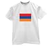 Armenia Flag 2 - Mens Vintage T-Shirt