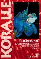 Art für Art: Leierfische: Koralle / Im Meerwasseraquarium, Pflege und Nachzucht
