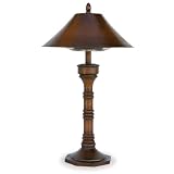 electric patio heat lamps:Endless Summer EWTS830SP 