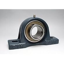FYH UCPX20 Pillow Block Mounted Bearing, 2 Bolt, 100mm Inside Diameter, Set screw Lock, Cast Iron, Metric