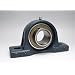 FYH UCPX20 Pillow Block Mounted Bearing, 2 Bolt, 100mm Inside Diameter, Set screw Lock, Cast Iron, Metric