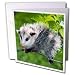 Wild animals - Opossum - Greeting Cards-12 Greeting Cards with envelopes