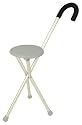 Travelon Walking Seat and Cane in One