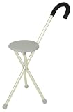 Travelon Walking Seat and Cane in One