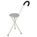 Travelon Walking Seat and Cane in One, Grey, One Size