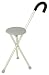 Travelon Walking Seat and Cane in One