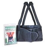 Acme Back Support, Size Large