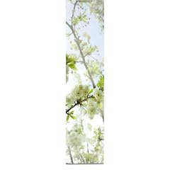 Horn textiles Limbo 37 Fl�chenvorhang