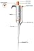 BasicPette Multi-Volume Adjustable Micro Pipette 10-50ul (10,20,30,40,50)