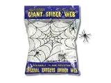 Giant Spider Web w/ Spiders