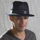 Blues Brothers Fedora Hat