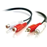 C2G / Cables to Go 40468 Value Series RCA Type Audio Extension Cable (6 Feet, black)