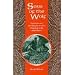 Sons of the Wolf: Campbells and MacGregors and the Cleansing of the Inland Glens