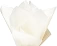 SOFT IVORY BIRCH Bulk Tissue Paper 15" x 20" - 100 Sheets