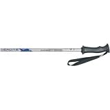 Alpina Excite Ski Poles - Junior