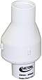 Valterra 200-07F PVC Swing/Spring Combination Check Valve, White, 3/4" FPT