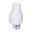 Valterra 200-07F PVC Swing/Spring Combination Check Valve, White, 3/4" FPT