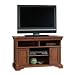 Sauder Panel TV Stand