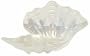 Bottom Surface Painted Glass Pearl Color Scallop Shell Large Bowl 15" D