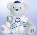 Hanuk: Mitzvah Bear